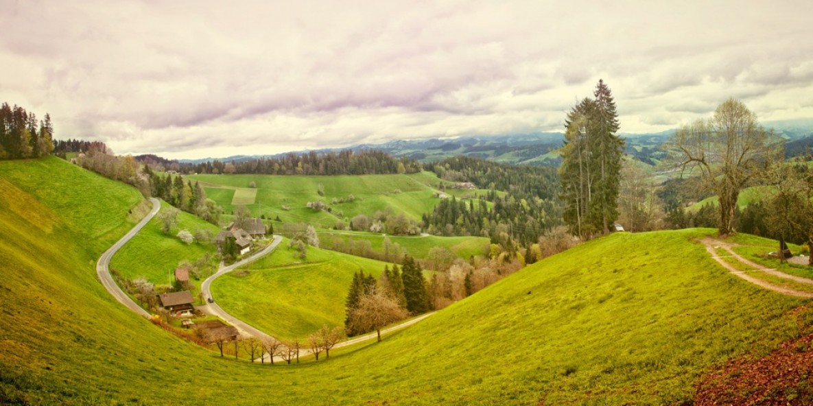 Green Fields