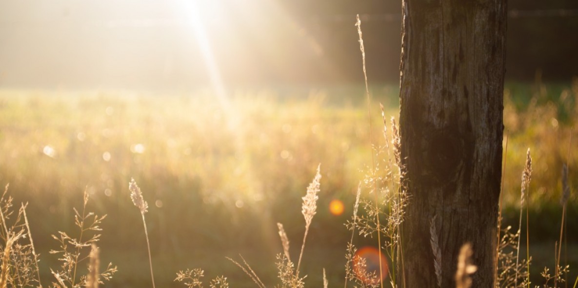Autumn Sunset