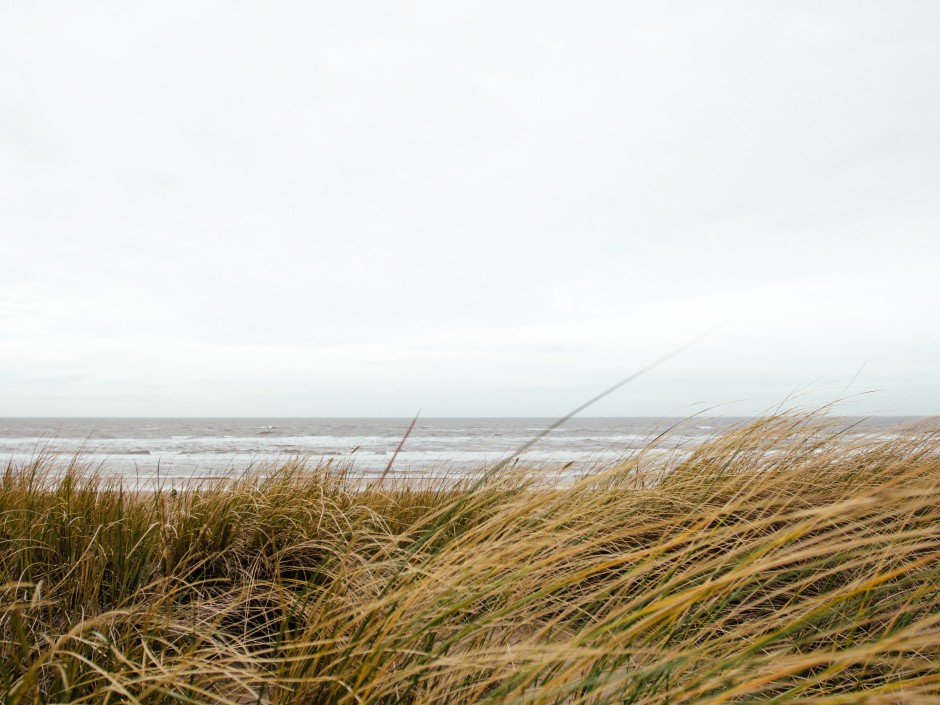 Ocean meets the field