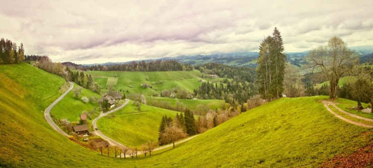 Green Fields