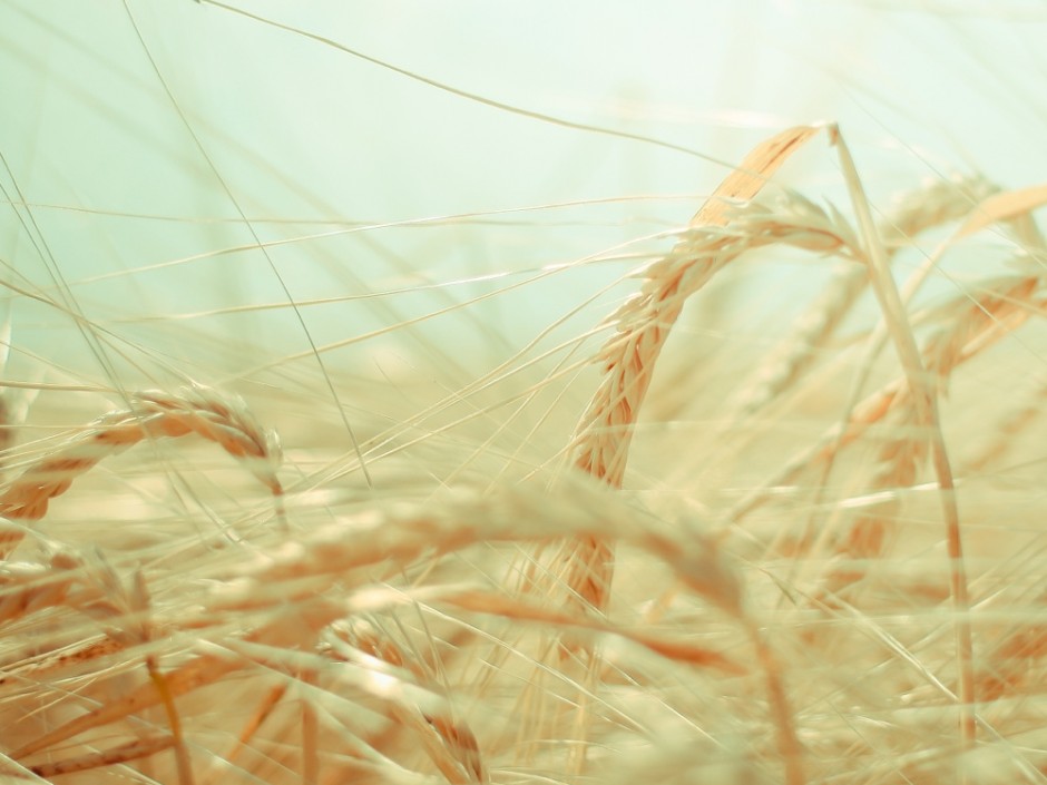 Getting the tone right