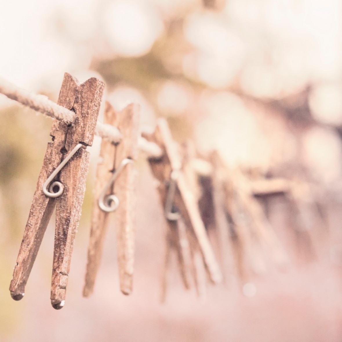 How to photograph anything