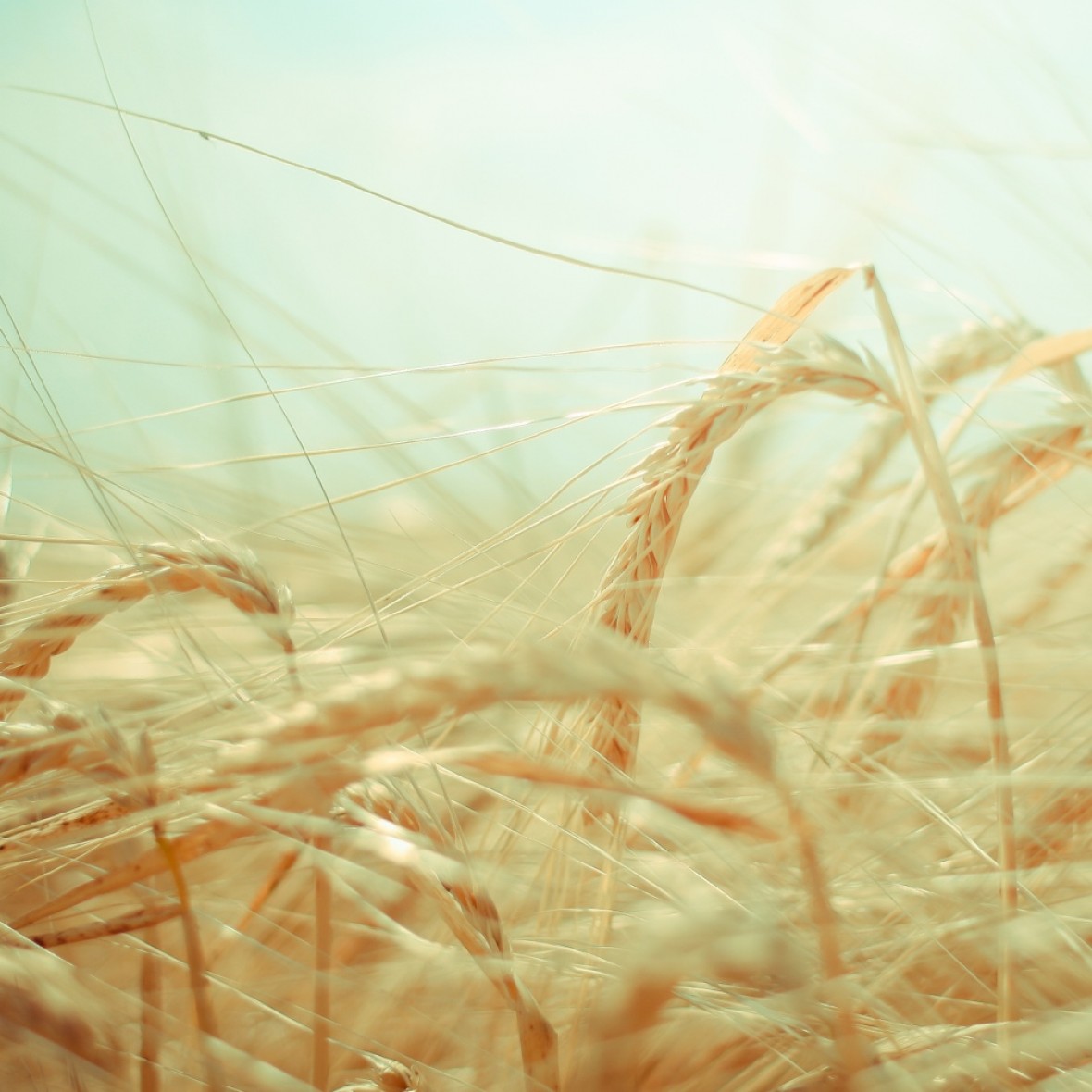 Getting the tone right